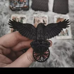 botique | Accessories | Black Titanium Raven Crow Hair Clip  display picture 3